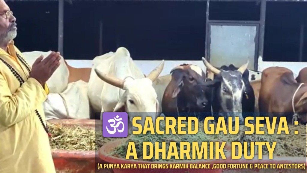 Gau Seva